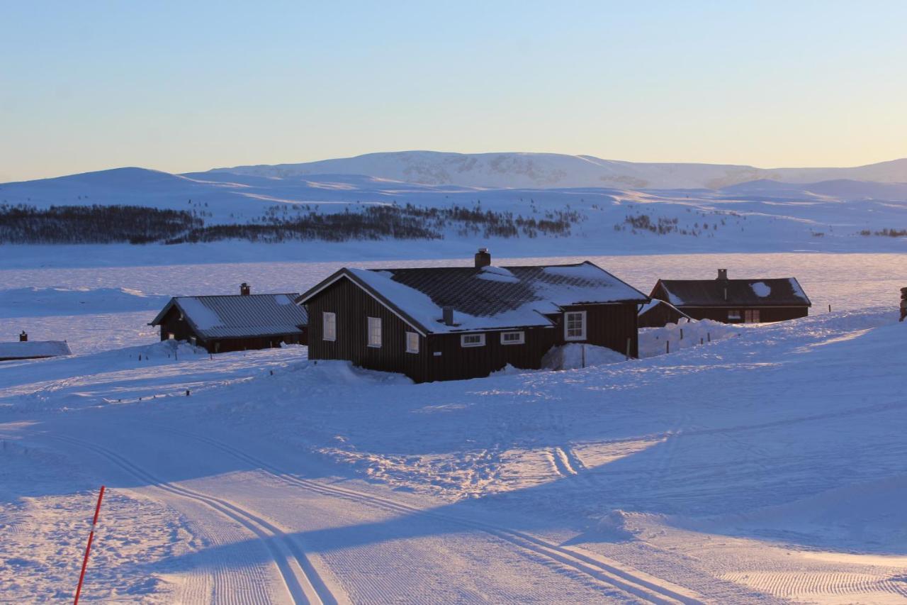 Kjoniksbu - 3 Bedroom Cabin Ол Экстерьер фото
